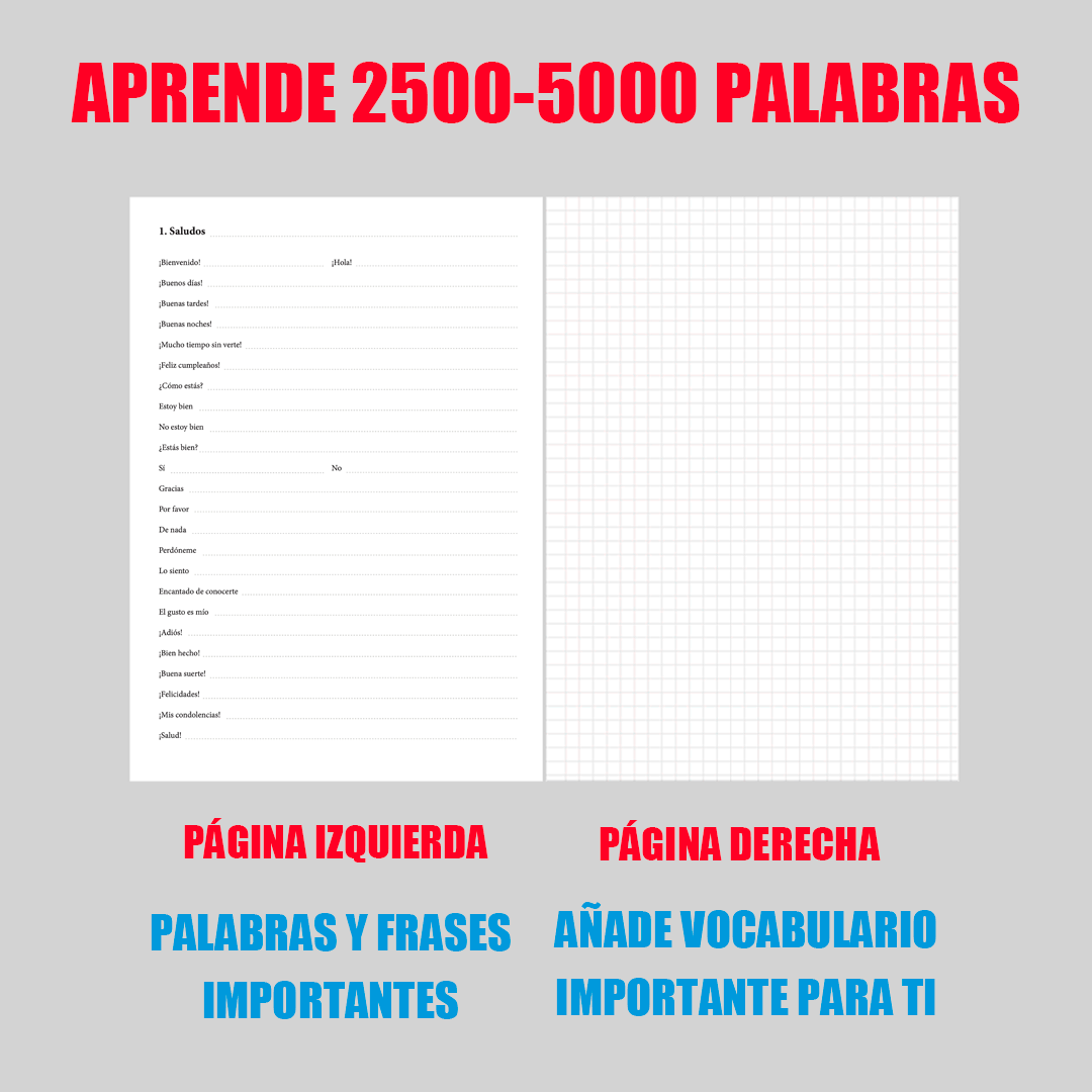 Spanish language notebook structure inside showing one example spread